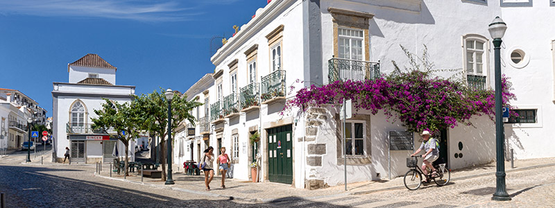 Vita prydliga kvarter och lila blommor i Tavira, Portugal.