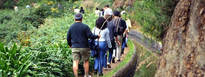 Grupp som vandrar lngs levadorna p Madeira.