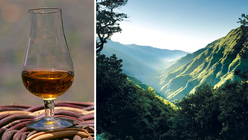 Madeiravin och bergslandskap p n Madeira.