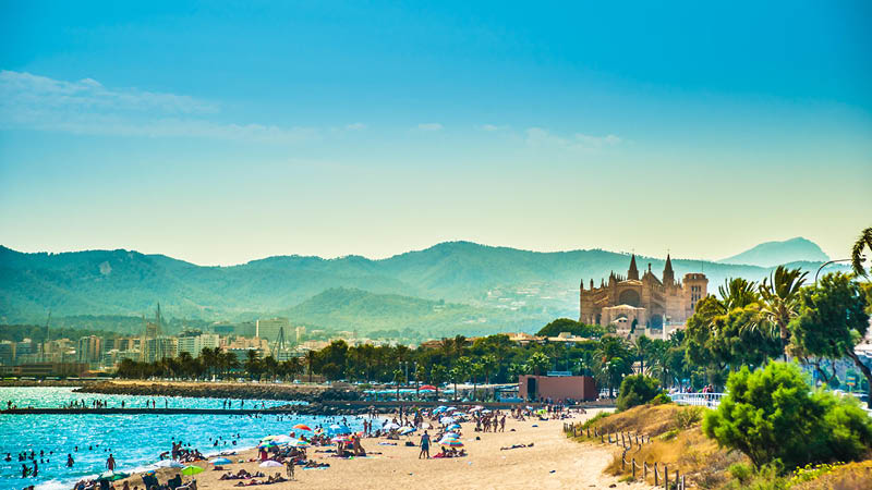 Sandstrand med katedralen La Seu och bergskedja i bakgrunden p Mallorca