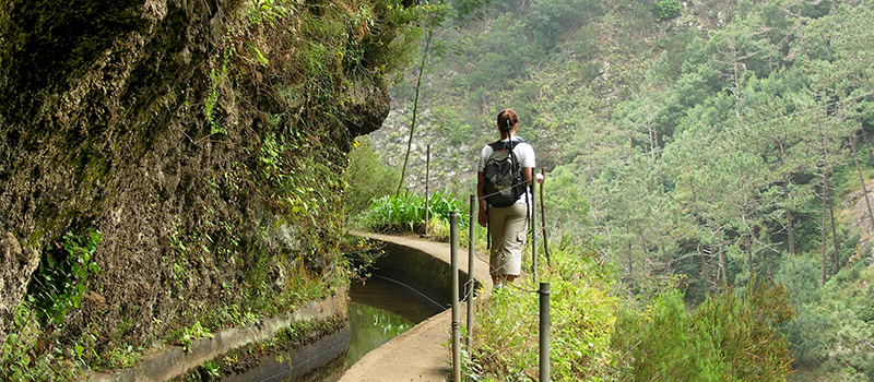 Vandring p en levada p Madeira.