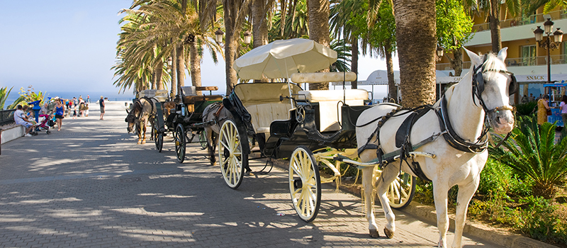 Hst och vagn i Nerja i Spanien.