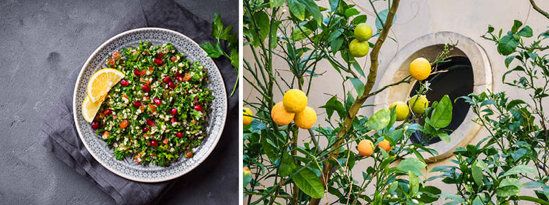Tabbouleh och apelsiner i Israel.