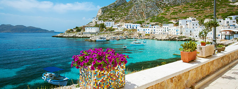 Lila blommor längs med strandpromenaden i Trapani, Sicilien.
