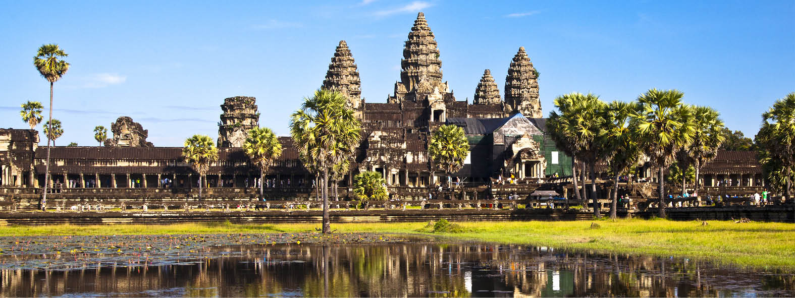 Tempelkomplexet Angkor Wat bland gröna träd i Kambodja.