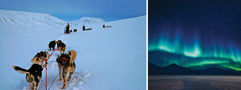 Norrsken och hundsläde på Svalbard.