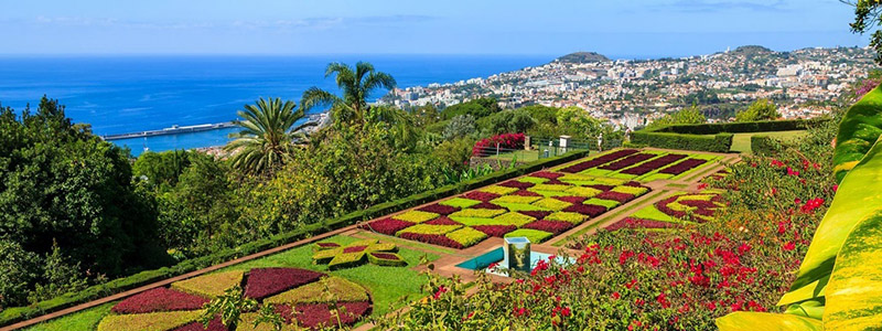Botaniska trädgården på Madeira med utsikt över Atlanten.