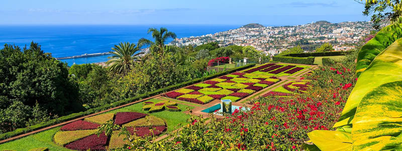 Frodig natur längs levadastigar på Madeira.