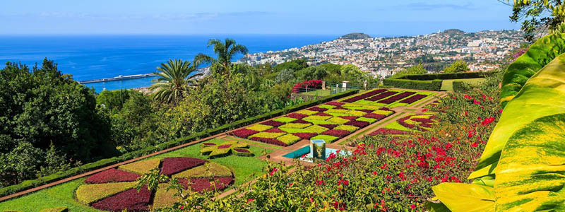 Frodig natur lngs levadastigar p Madeira.