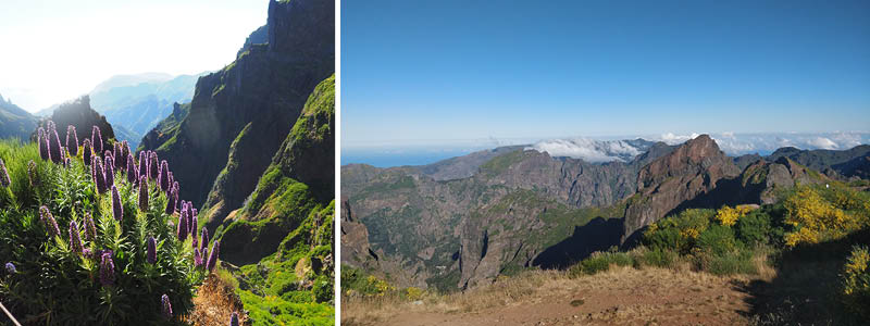 Madeiras högsta punkt Pico Ruvio på en vandringsresa till Madeira.