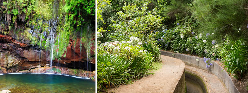 Vattenfall, grön skog och levador på vandringen Levada de Risco och 25 Fontes på Madeira.