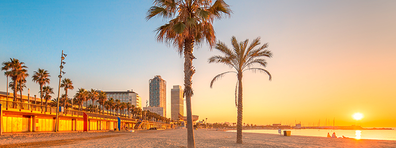 Solnedgång över palmer och stranden i Barcelona på en nyårsresa.
