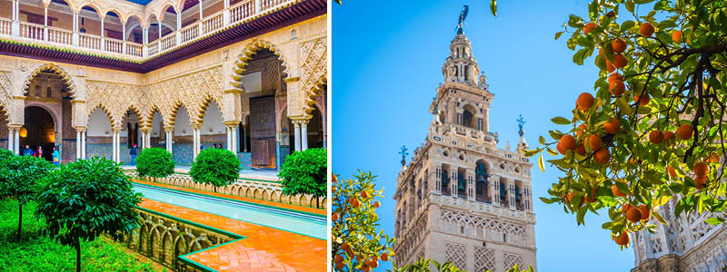 Tjurfäktningsarenan i Sevilla i Spanien.