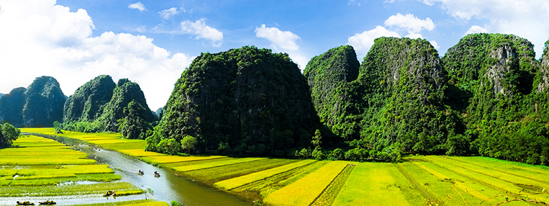 Storslagna vyer över bördiga fölt och grönbevuxna berg i Ninh Binh, Vietnam.