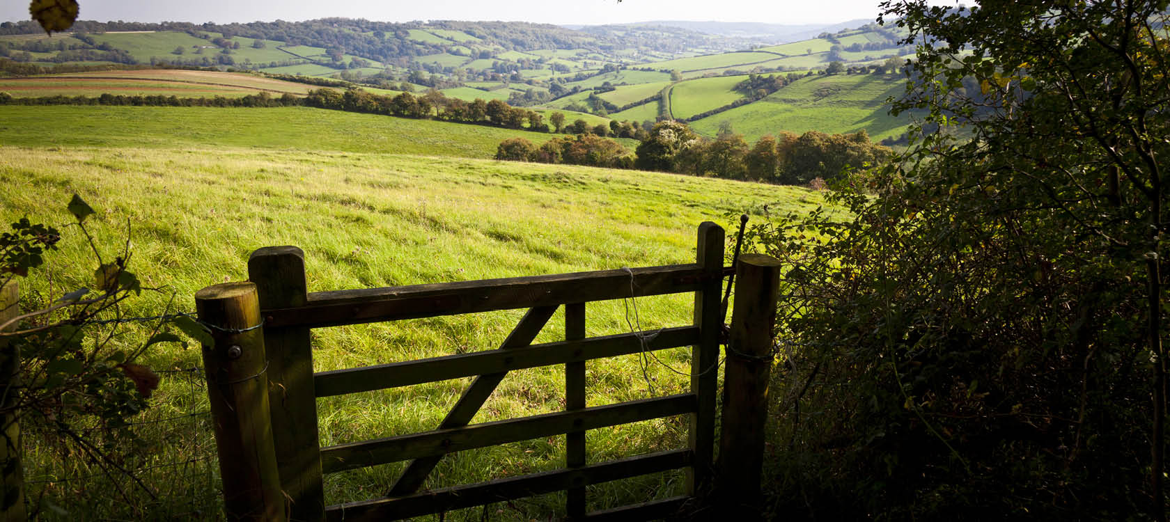 Grön vacker äng med gammal grind i brittiskt grevskap på landbygden.