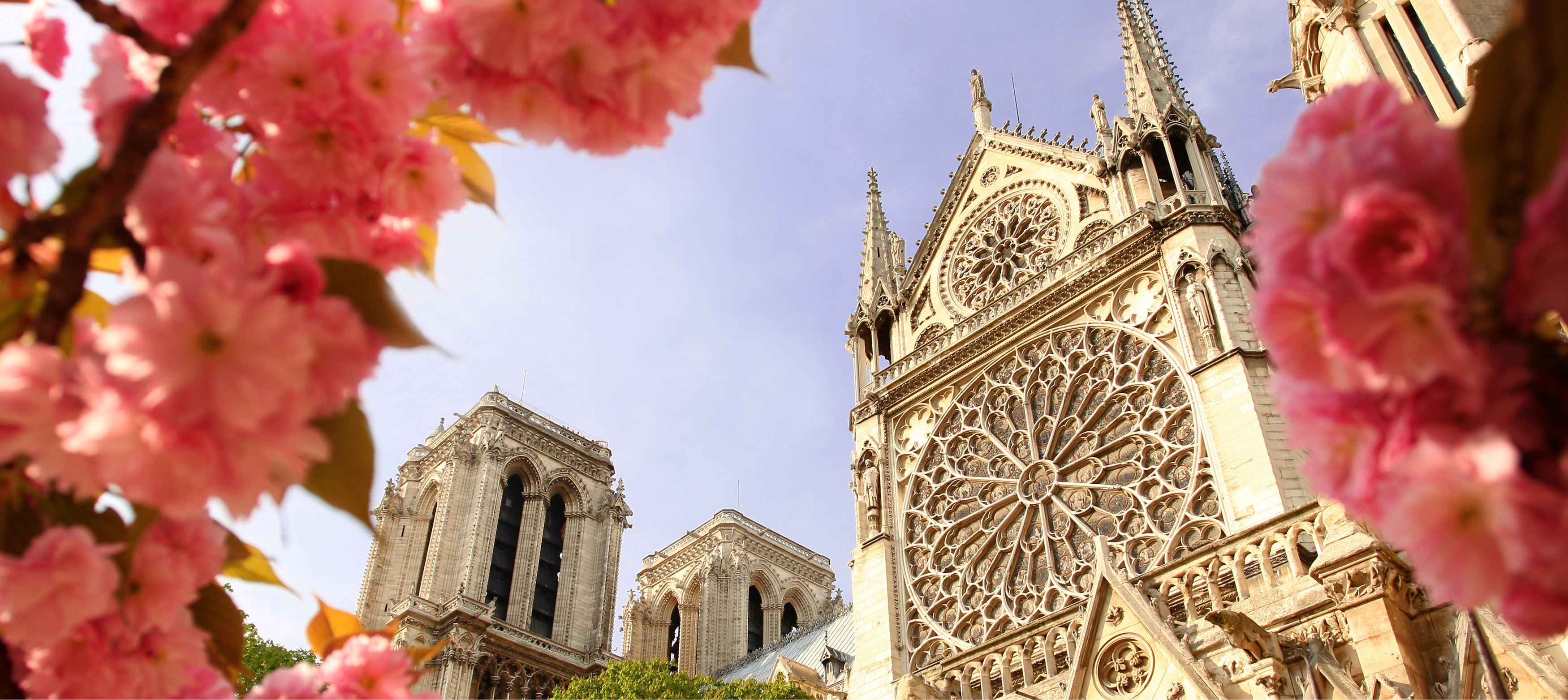 vackra notre-dame i vårtider med blommor, paris
