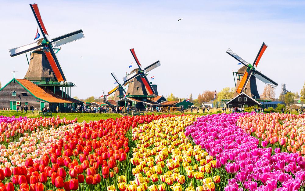Holland - låt dig inspireras i vår reseblogg | Kulturresor Europa®