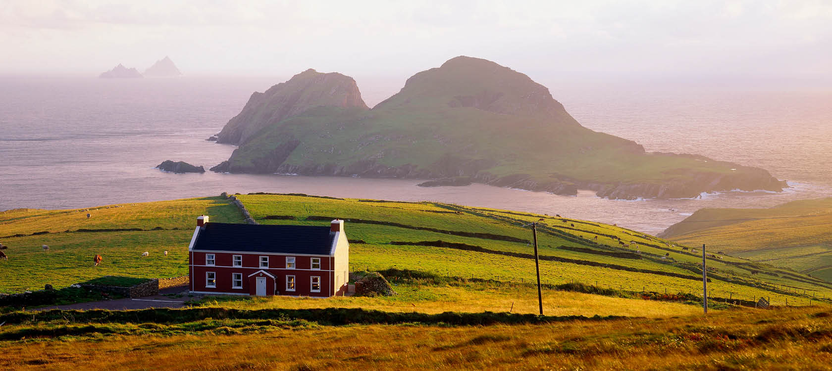 Det naturskna Ring of Kerry med hus, ker och berg i havet, rundresa p Irland.