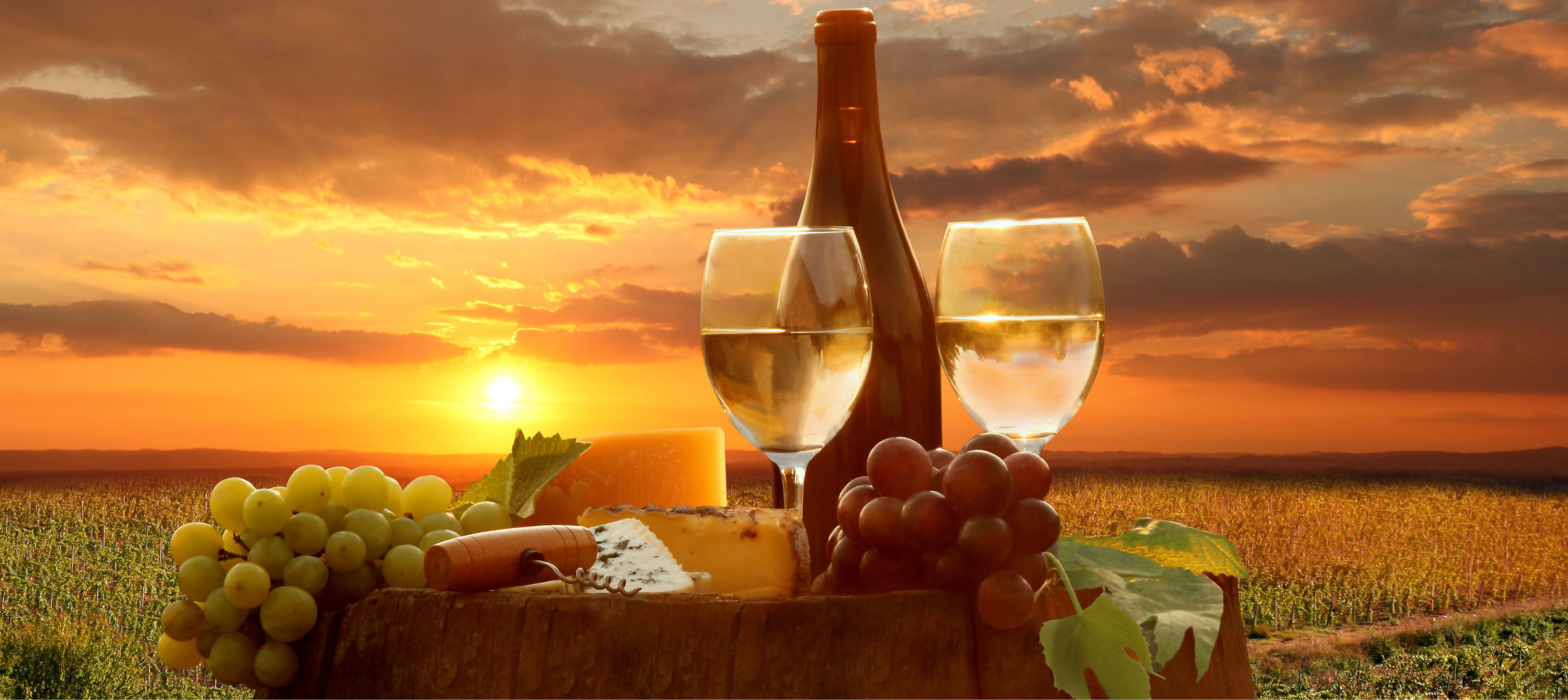 vindruvor, vitt vin och delikatess ostar i solnedgången i toscana
