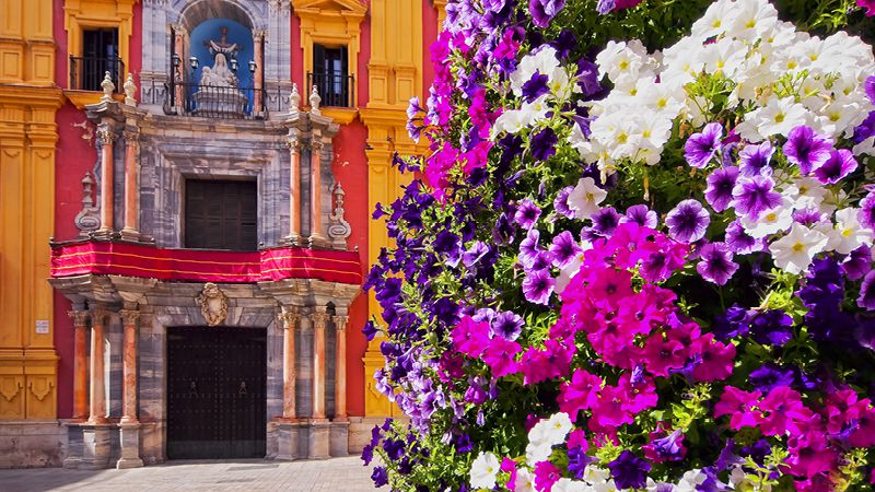 lilla och rosa blommor framför vacker byggnad i spanien