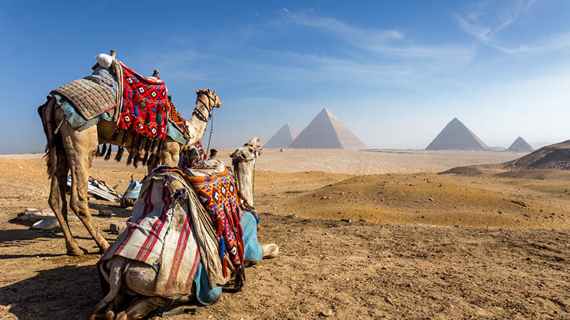 Historiska Egypten med Nilenkryssning