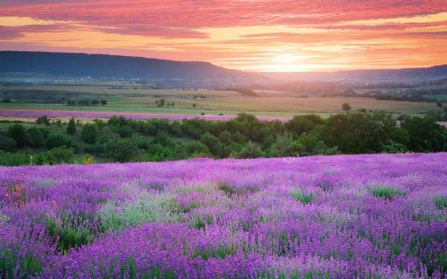 Vägen till Provence