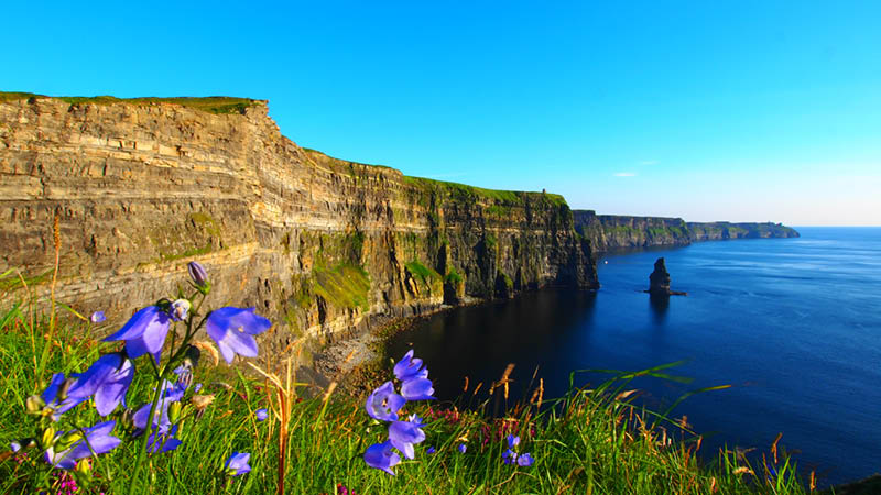 Blommor och vackert landskap p en rundresa p Irland