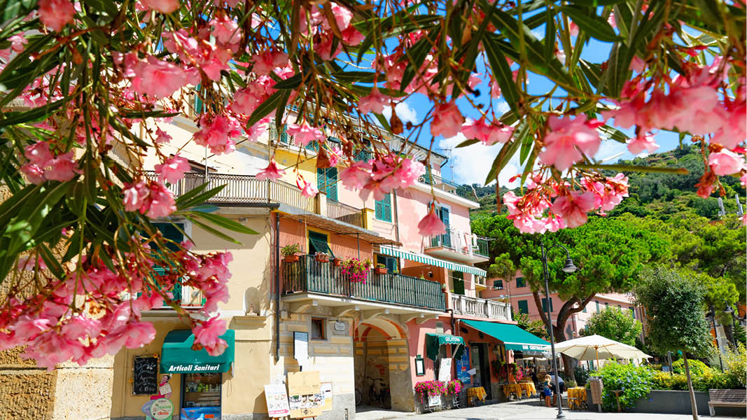 Vackra blommor och souvenirbutiker i Cinque Terre i Italien