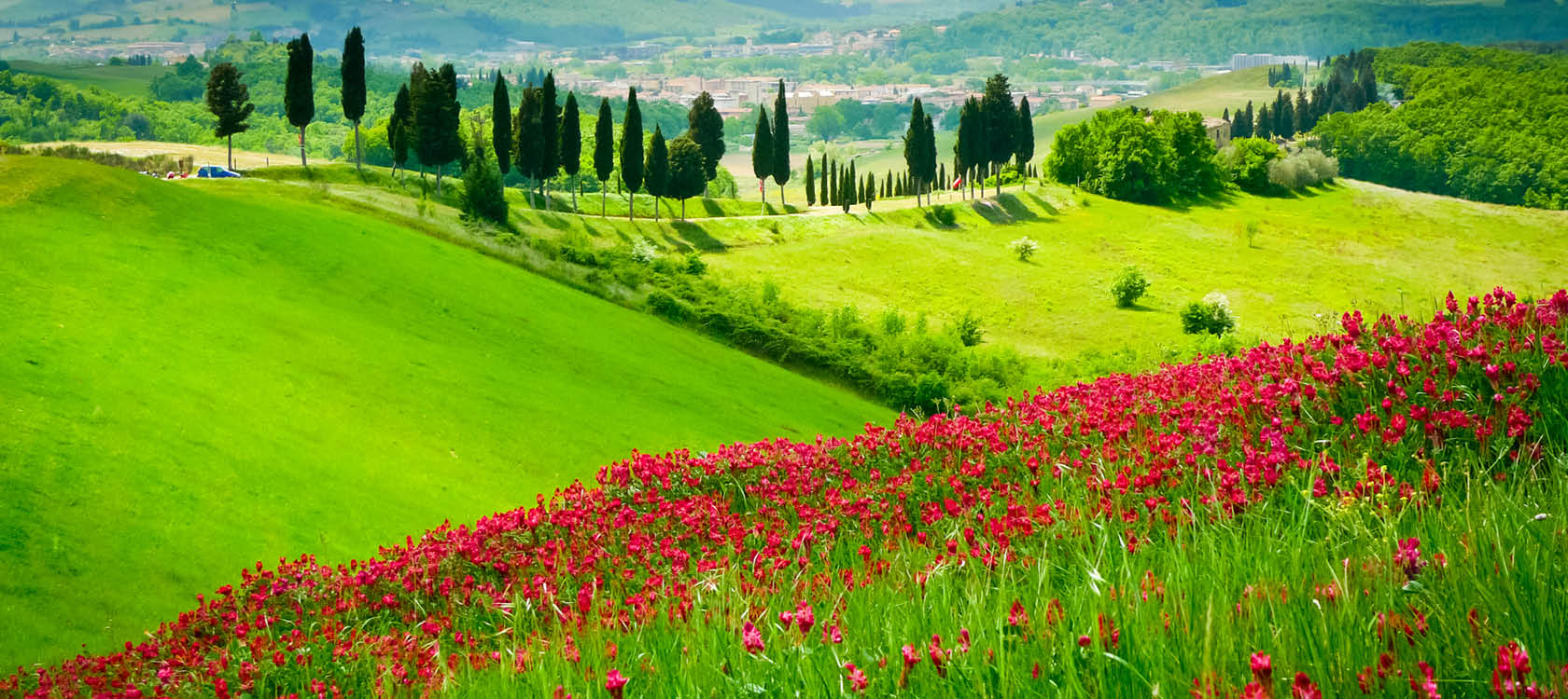 grna ngar och blomflt med cypresser i toscana