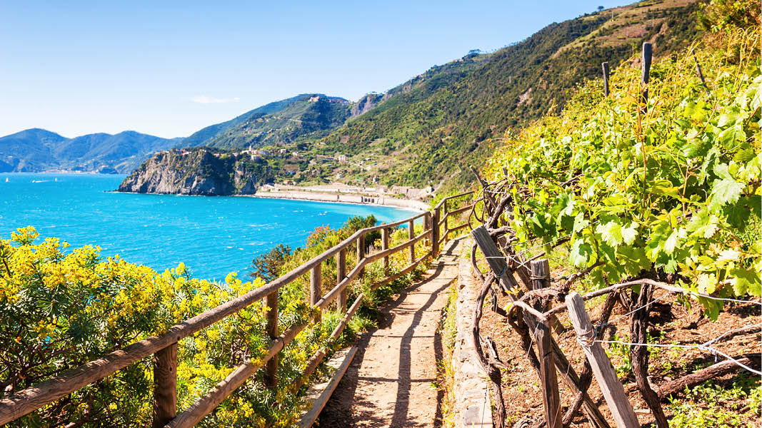 Vandringsled lngs med havet vid Amalfikusten i Italien