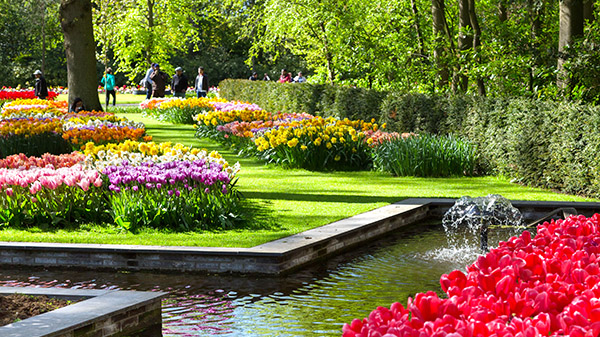 Blomstrande vårkryssning i Holland och Belgien