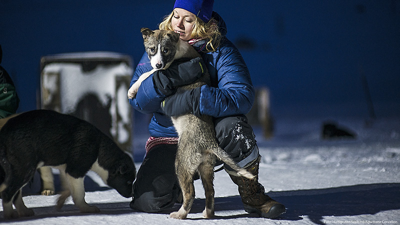 Hundar som blir omhndertagna infr en hundsldetur p Svalbard.