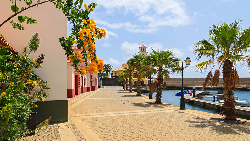 vackra palmer och promenadstrk lngs hamnen i funchal