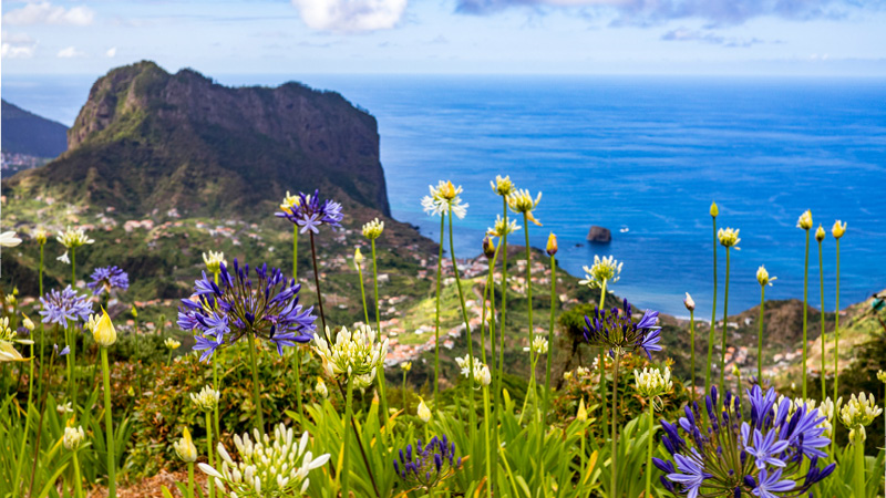 Madeira för kropp och själ