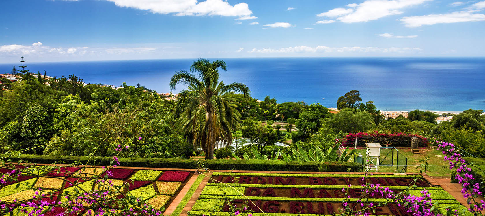 botanisk trdgrd med blommor och vxter p madeira