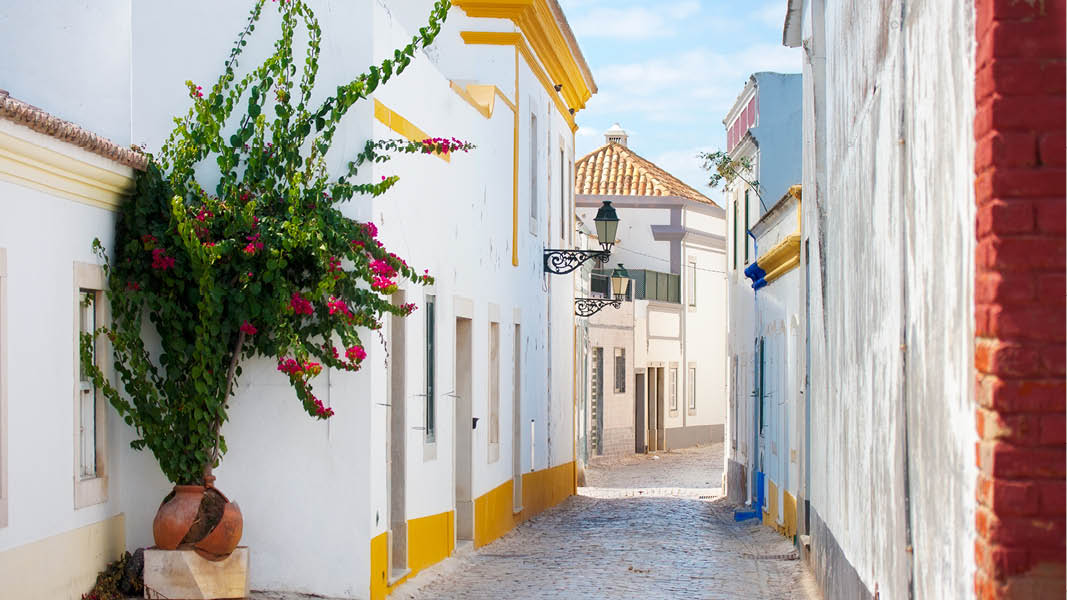 sm smala grnder med vackra husvggar och blommor p resa i tavira