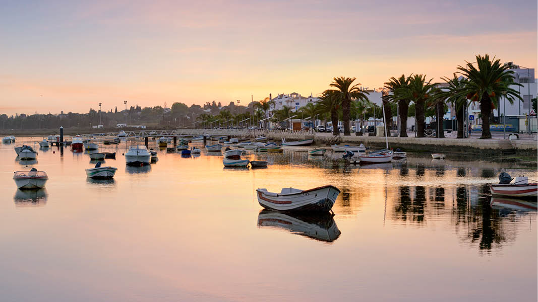 hamn med btar och palmer i kvllsskrud p resa i tavira