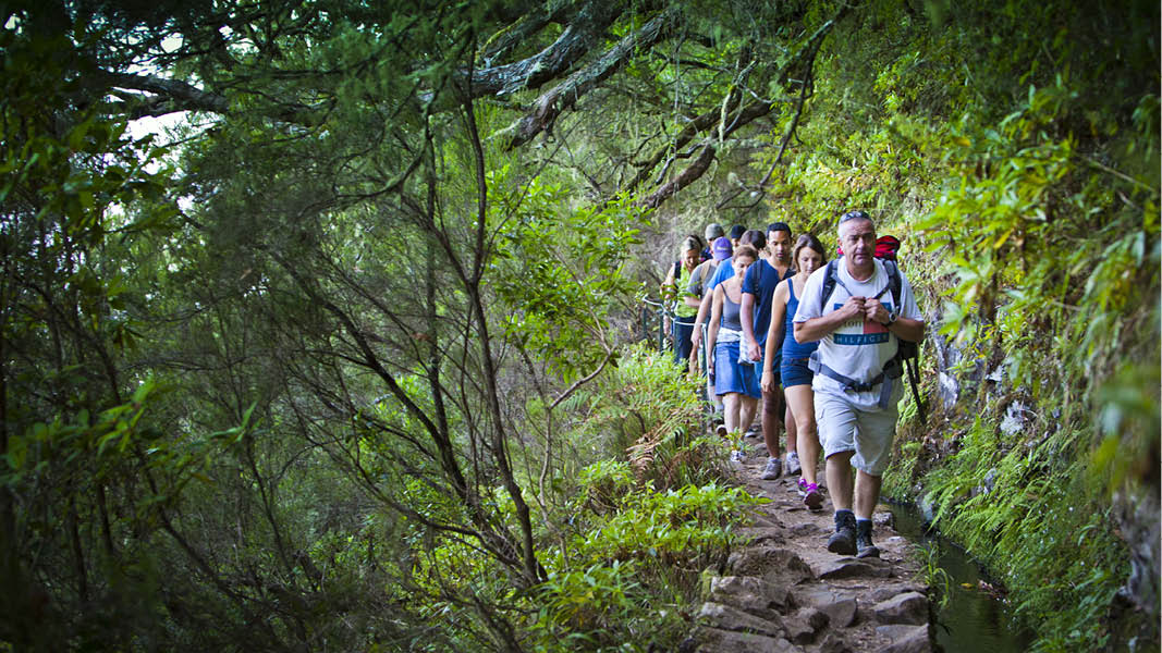 Levadavandring lngs med grn natur p en vandringsresa till madeira