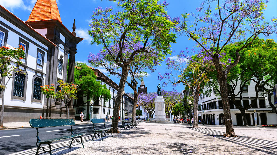 funchal centrum erbjuder ett vackert byliv p vandringsresa p madeira