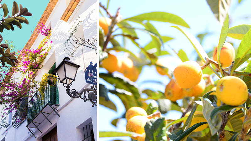 Vitt hus med blommor i Altea, Spanien och ett citrontrd.