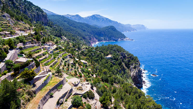 Vinodlingar i Sierra de Tramuntana p Mallorca