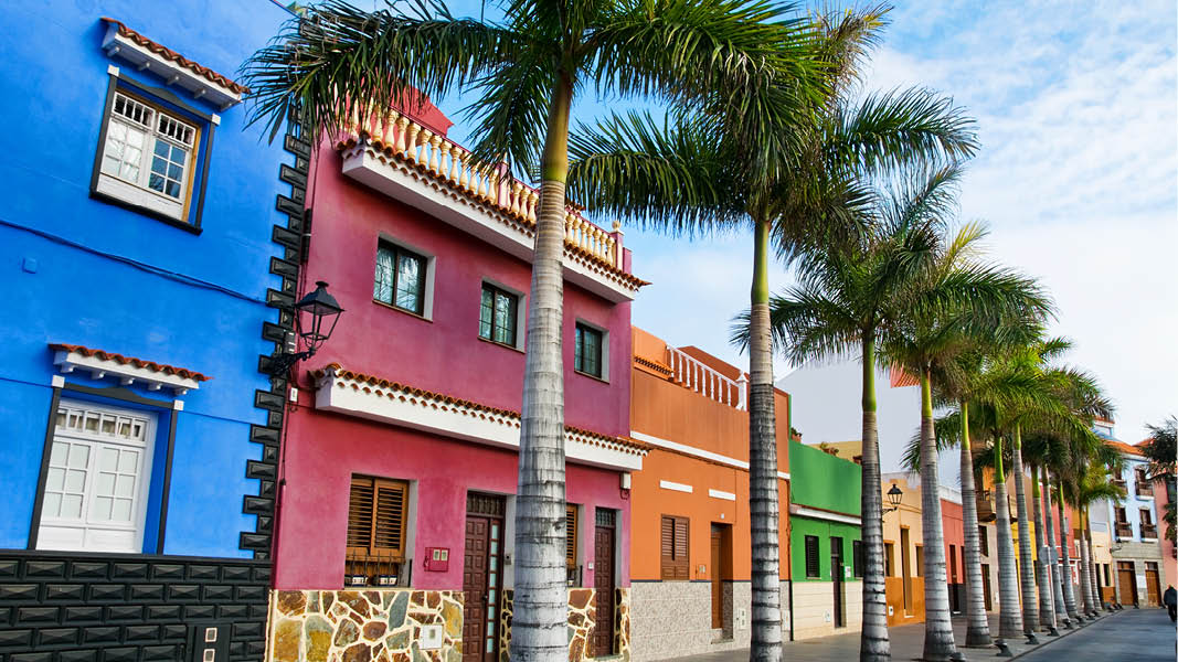 Frgglada hus i Puerto de la Cruz p Teneriffa med palmer framfr.