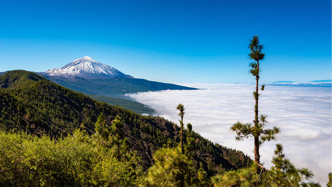 Imponerande vulkanen Teide bland molnen p Teneriffa.