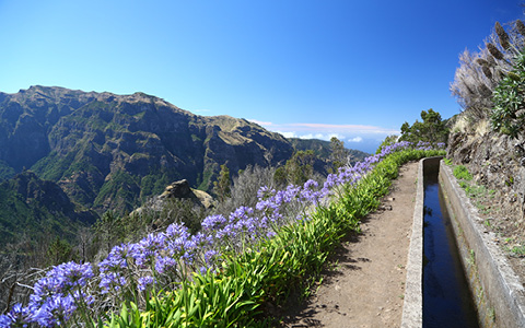 Madeira för kropp & själ